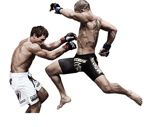 Tackle Misc Fight Folder Boxing PNG
