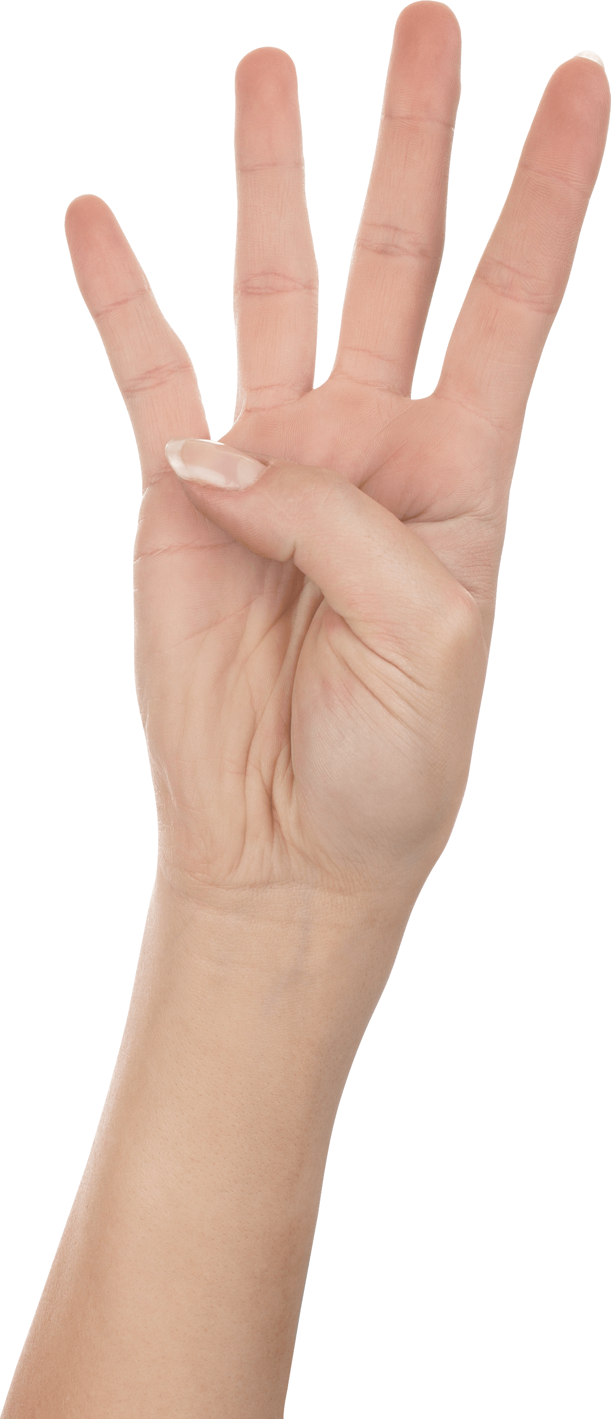 Wrist Shame Indictment Hand Tequila PNG