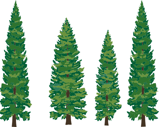 Tree Riv Friends Red Balsam PNG