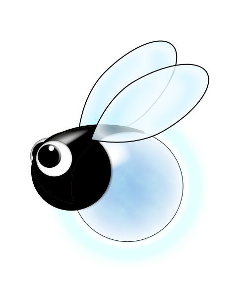 Firefly Junco Beetle Insect Ladybug PNG