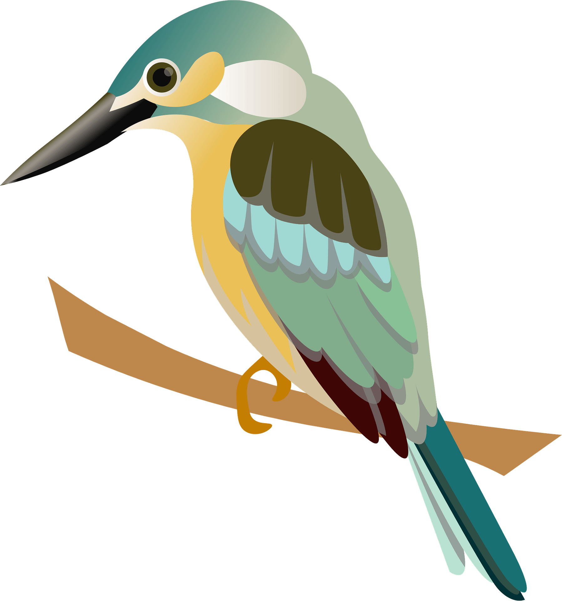 Habitat Angling Kingfisher Harvesting Beak PNG