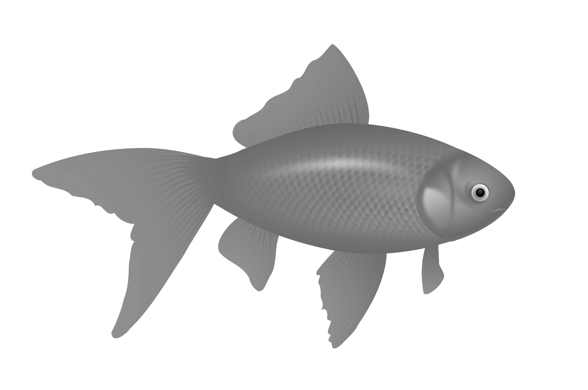 Fish Sturgeon Whiting Fisheries Hatchery PNG