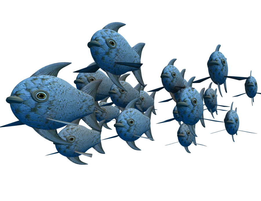 Cod Animals Trout Fool Fat PNG