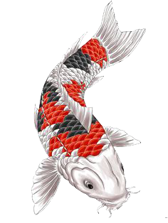 Patsy Salmon Fish Haircuts Cornrows PNG