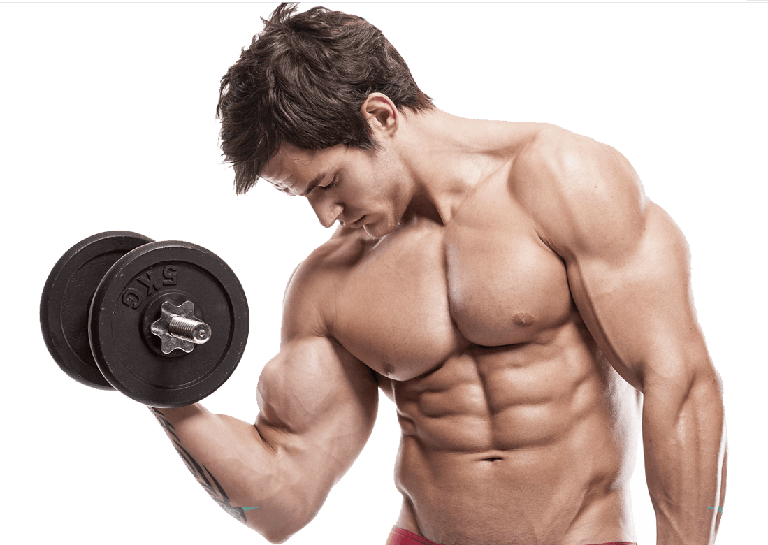 Dumbbell Decency Alignment Compliance Man PNG