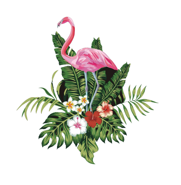 Flower Toucan Bird Hummingbird Vector PNG