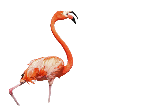 Vector Lizard Otter Spoonbill Swan PNG