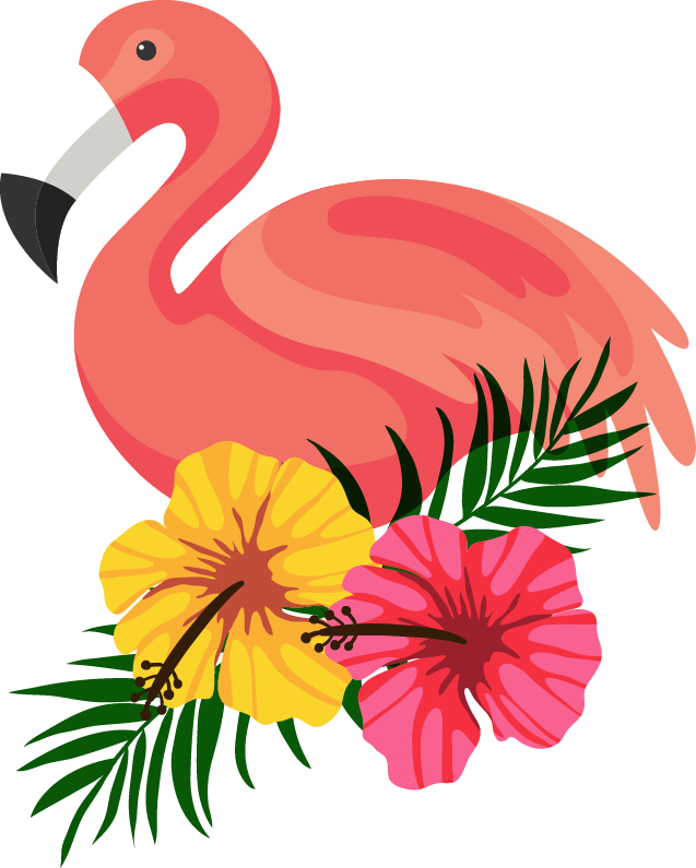 Beautiful Frame Beautifully Bird Flamingo PNG