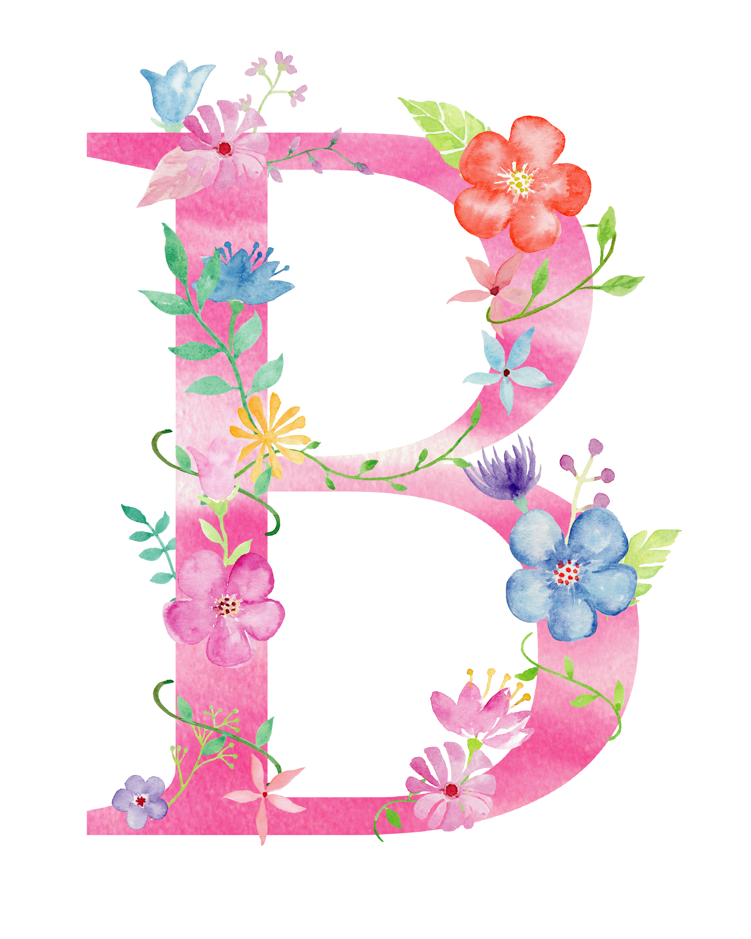 Inflorescence Flower Cone Alphabet Flowered PNG