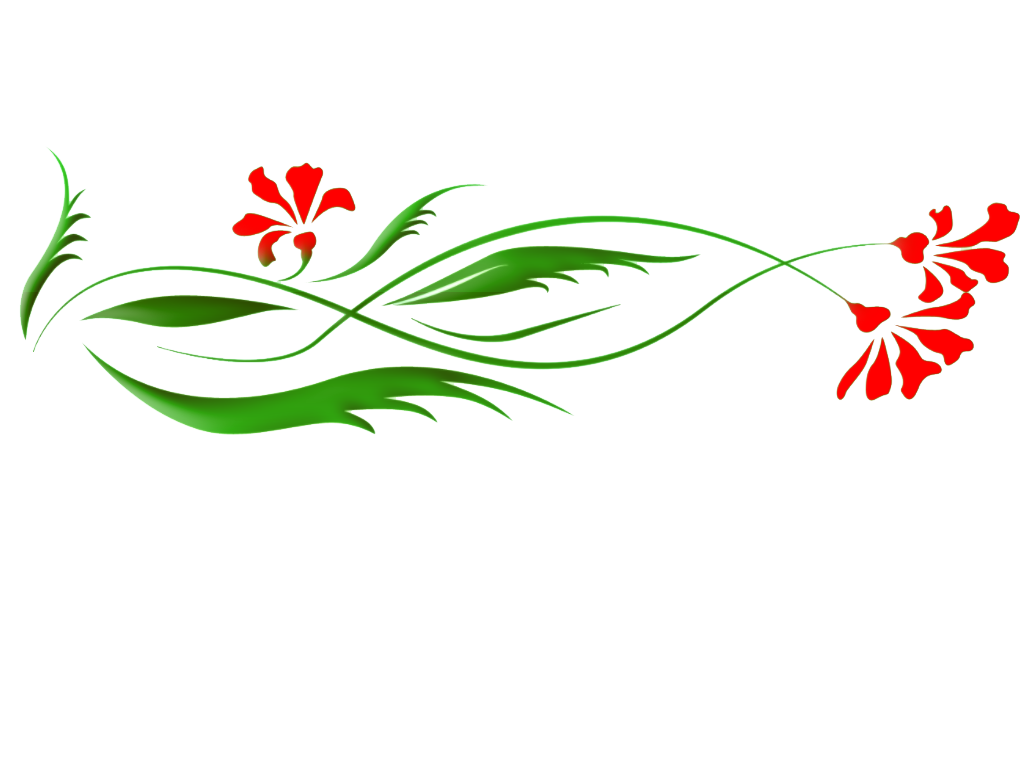 Flower Floral Flora Inflorescence Artwork PNG