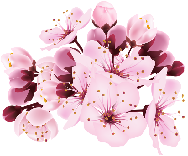 Blossom Kindness Spring Blossoming Clover PNG