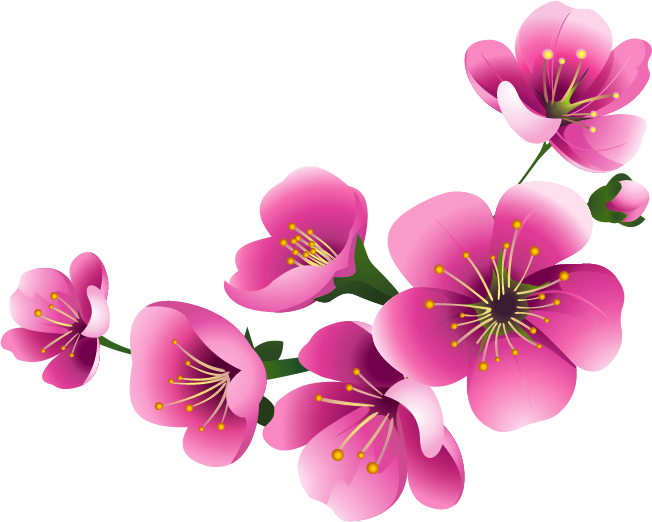 Stem Gladiola Artistic Flower Hydrangea PNG