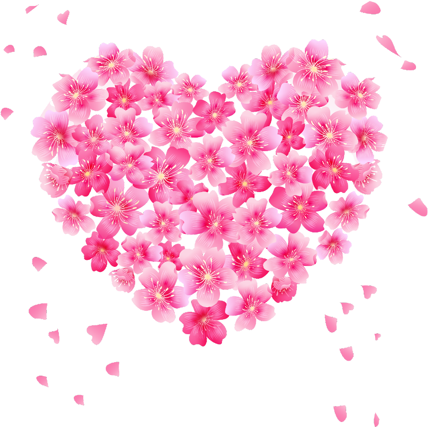 Heart Love Marigold Blossoming Chrysanthemums PNG