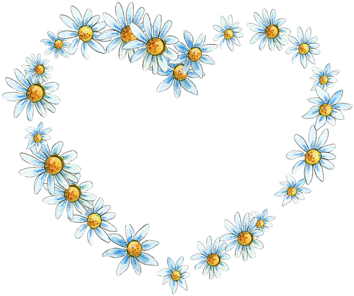 Food Daisy Heart Carnation Roses PNG