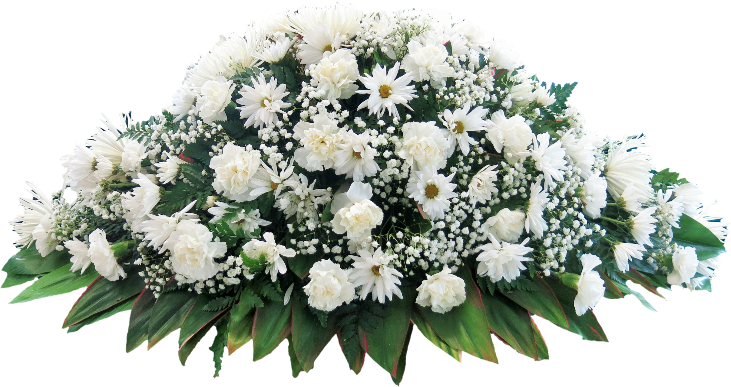 Roses Flower Flowers Carnation Funeral PNG