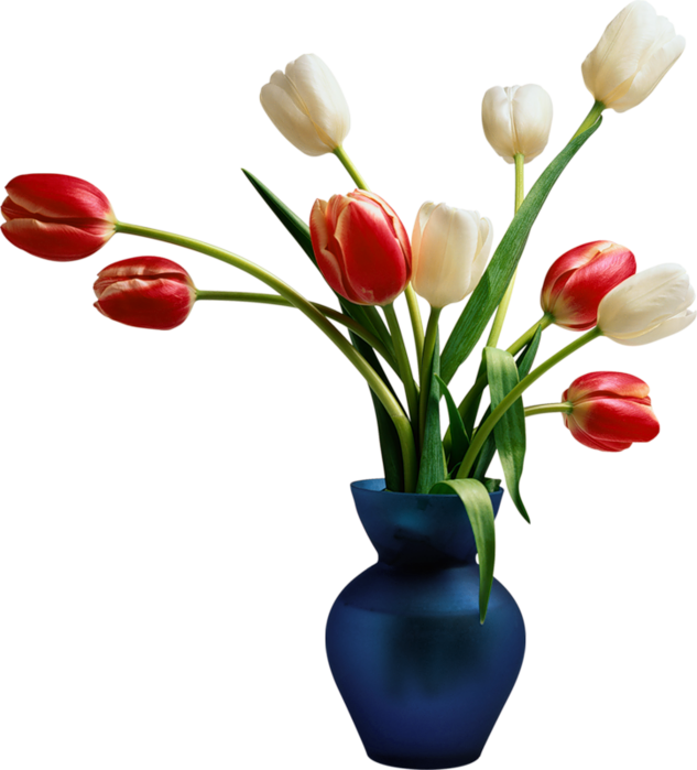 Tulips Installation Application Blue Vase PNG