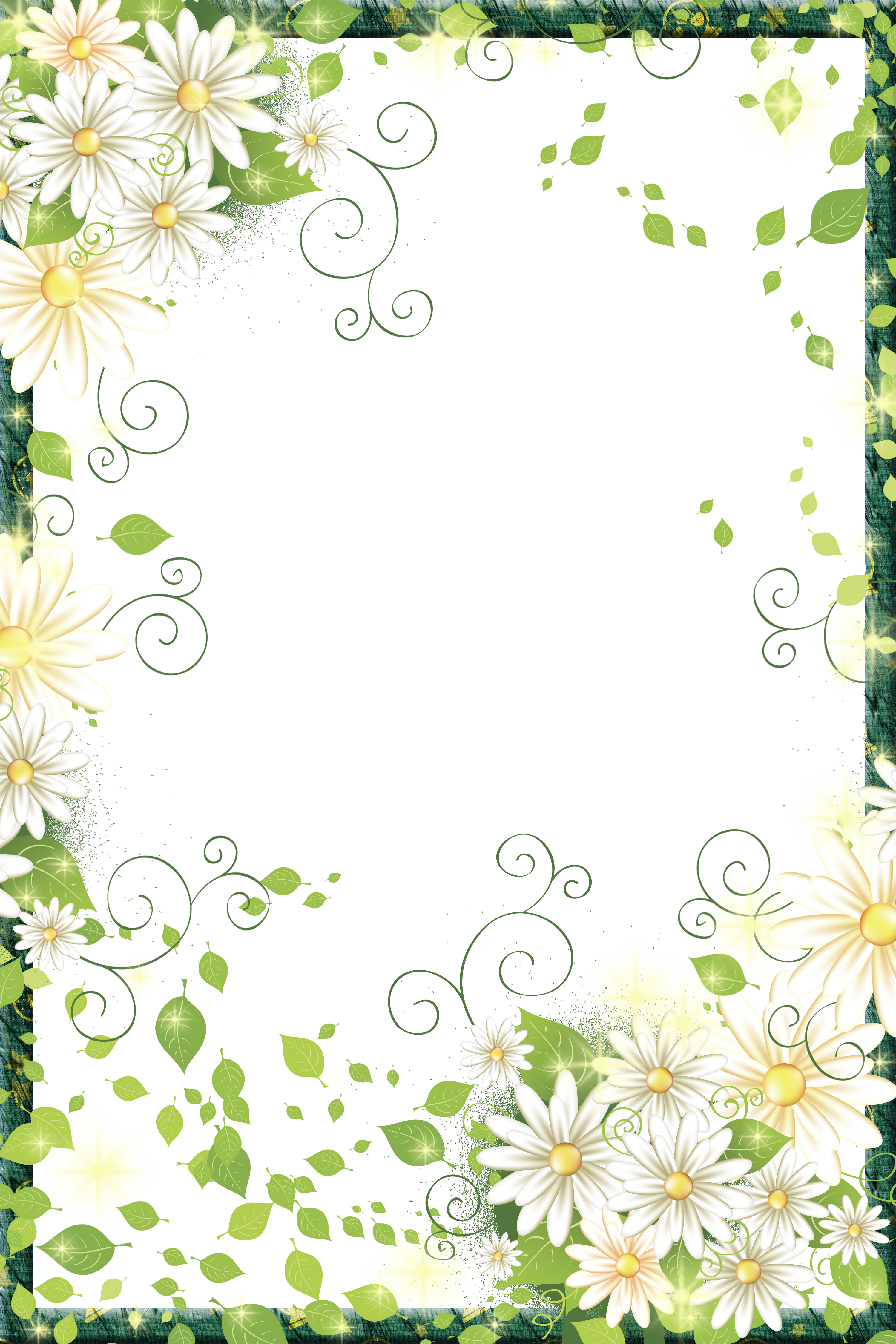 Line Cost Border Flowers Flower PNG