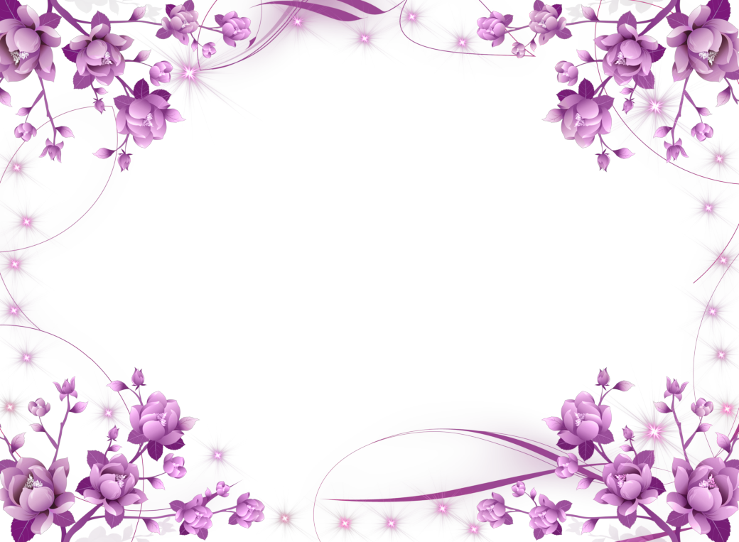 Aster Purple Beauty Frames Blue PNG