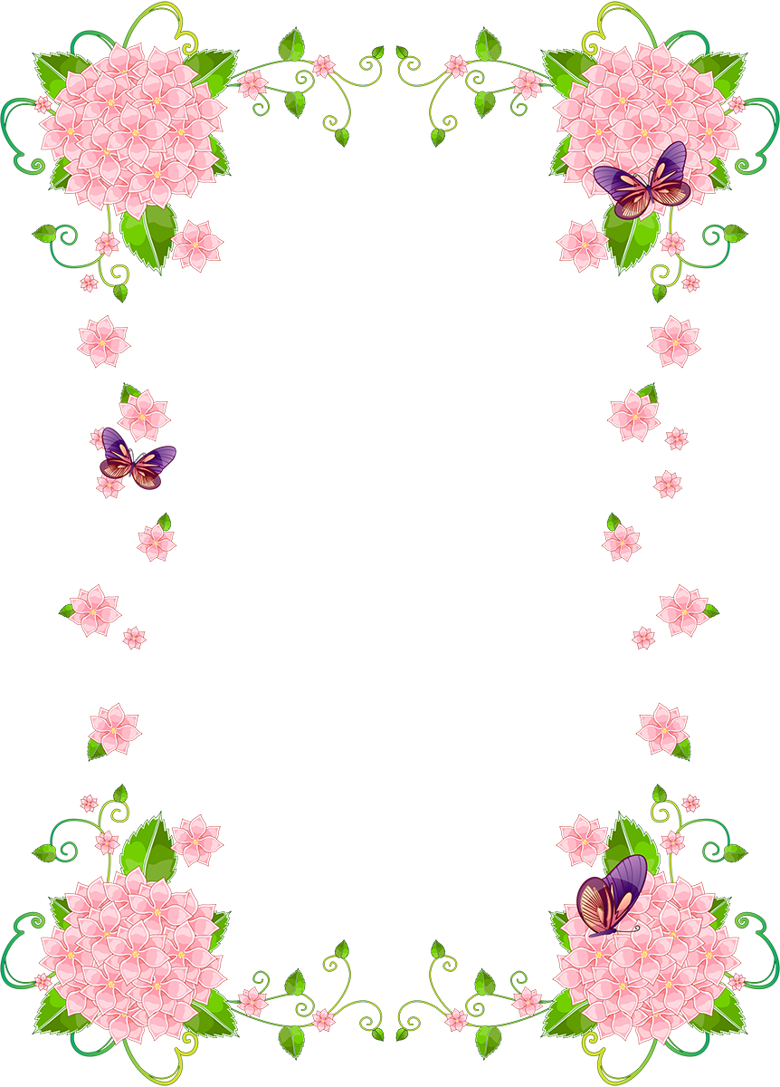 Graphics Branch Vector Flora Flower PNG