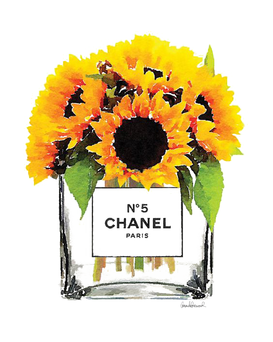 Stock Sunflower Show Gift Common PNG