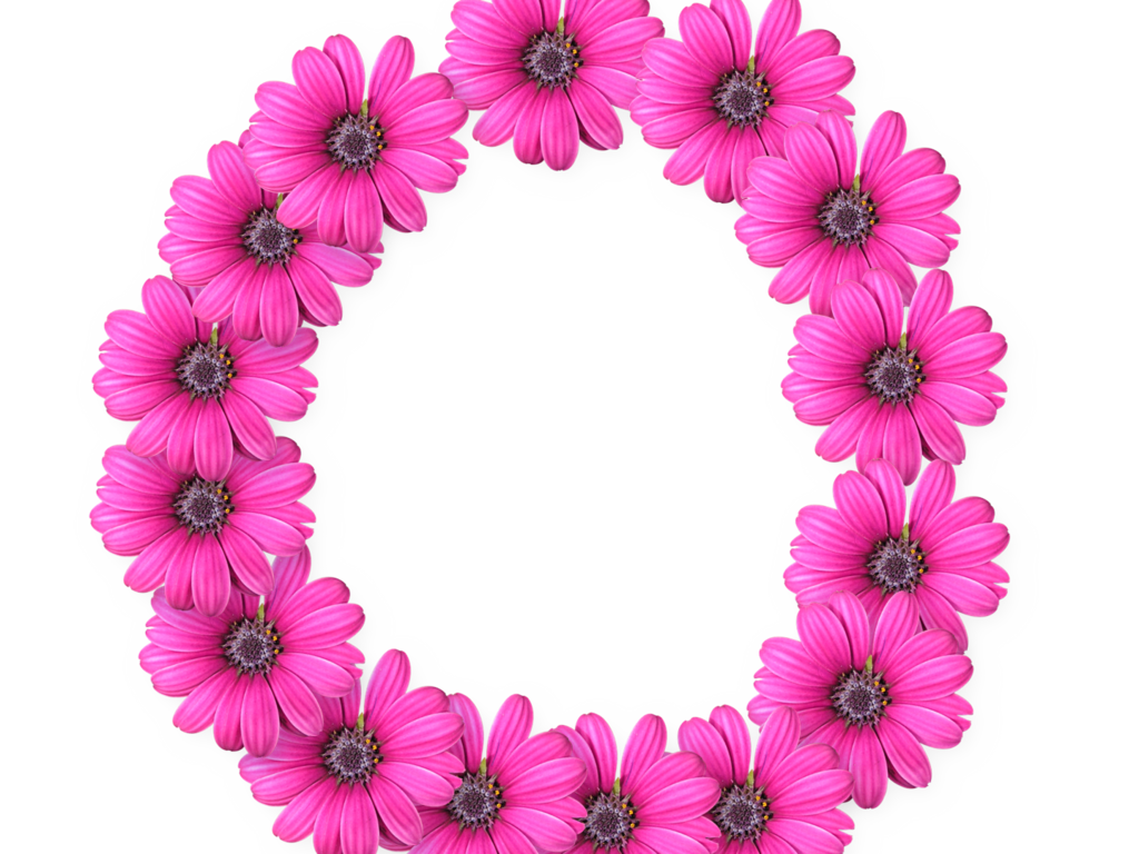 Flower Art Design Floral Corolla PNG