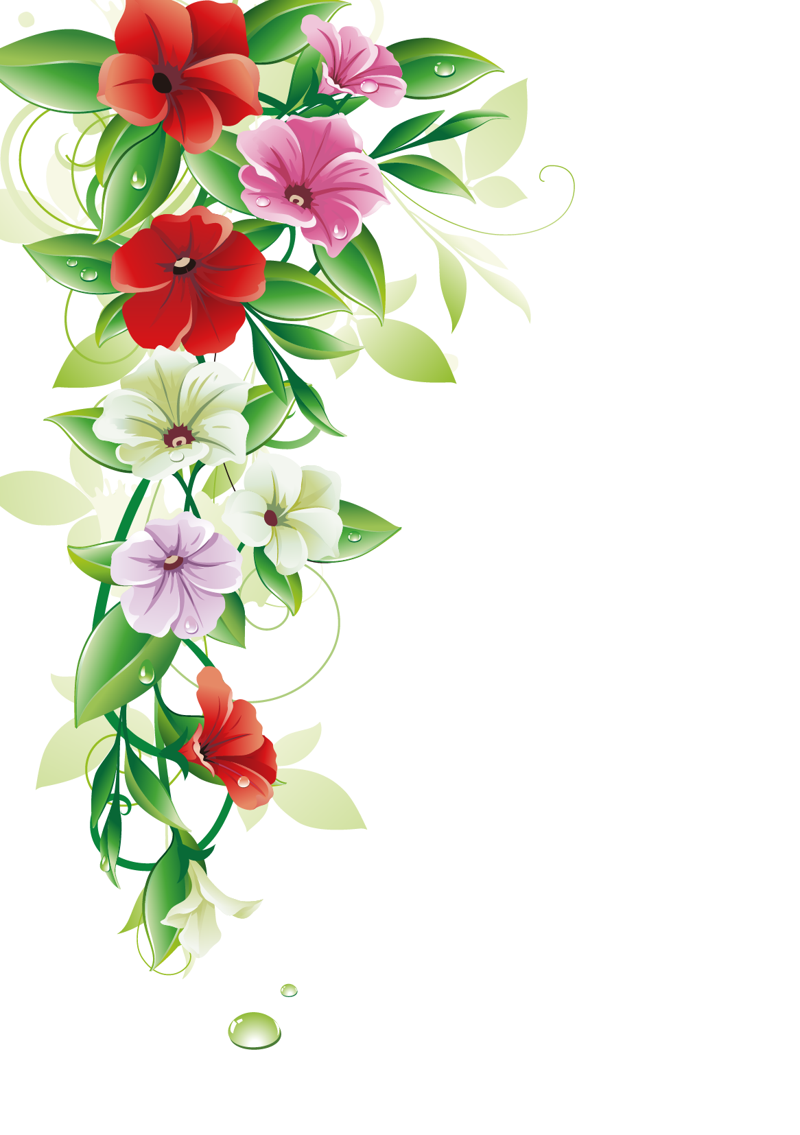 Peony Lilies Design Dahlia Flora PNG