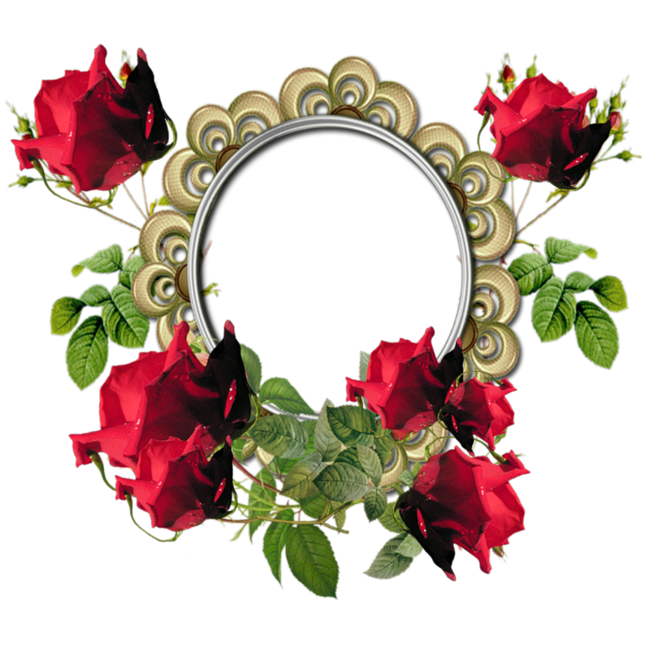 Android Frame Cost Red Flower PNG
