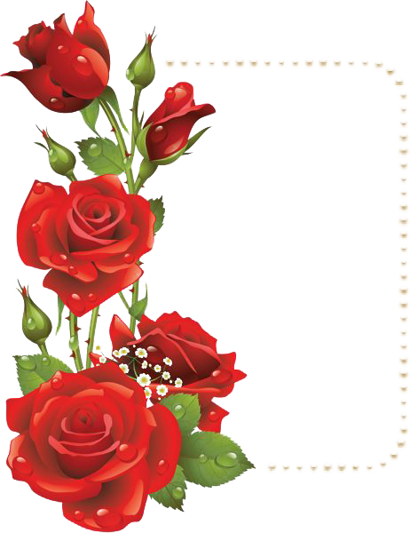 Frame Flower Pink Rose File PNG