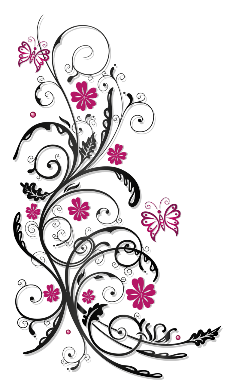 Peony Ornaments Line Branch Flower PNG