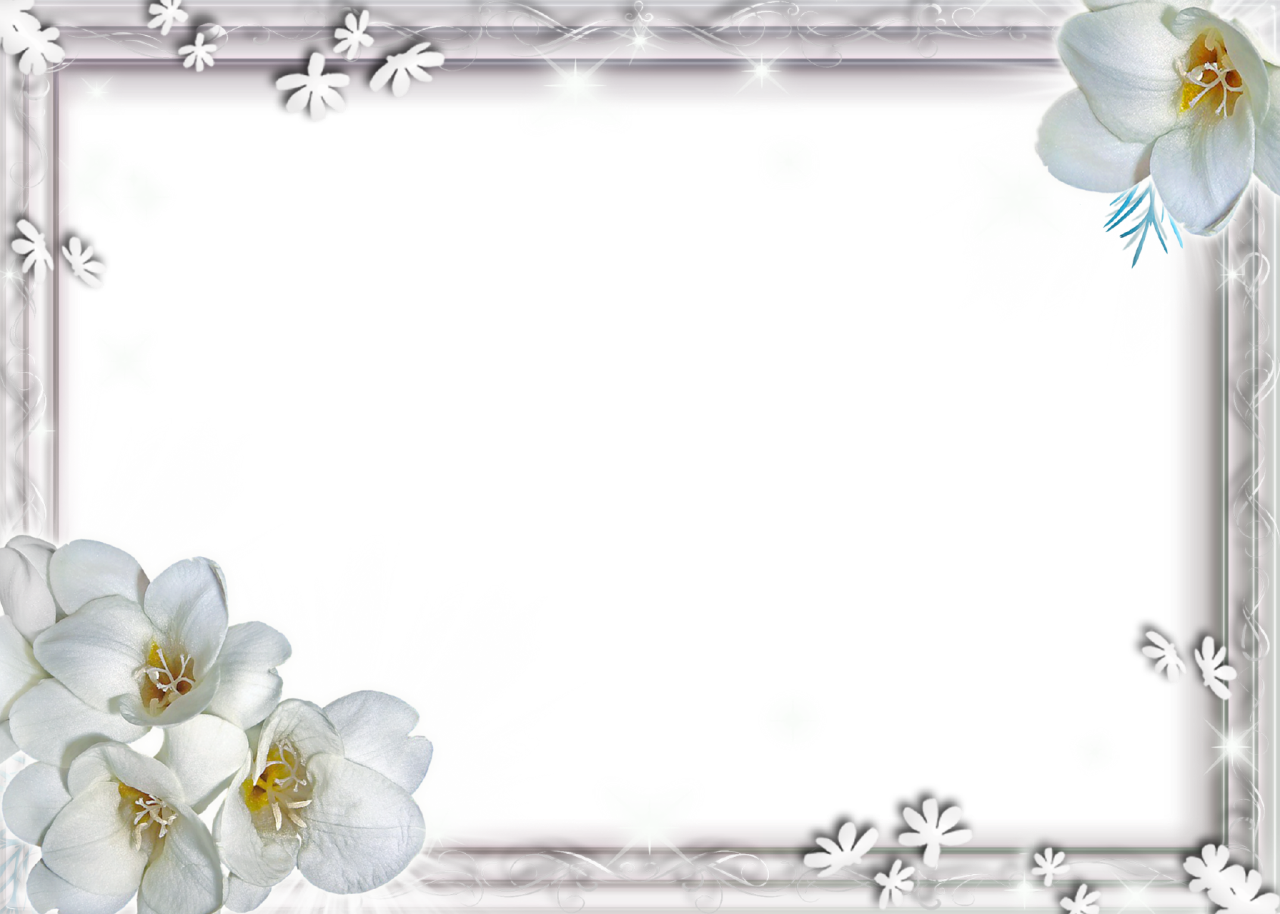 Frame Bit File Wallpaper White PNG