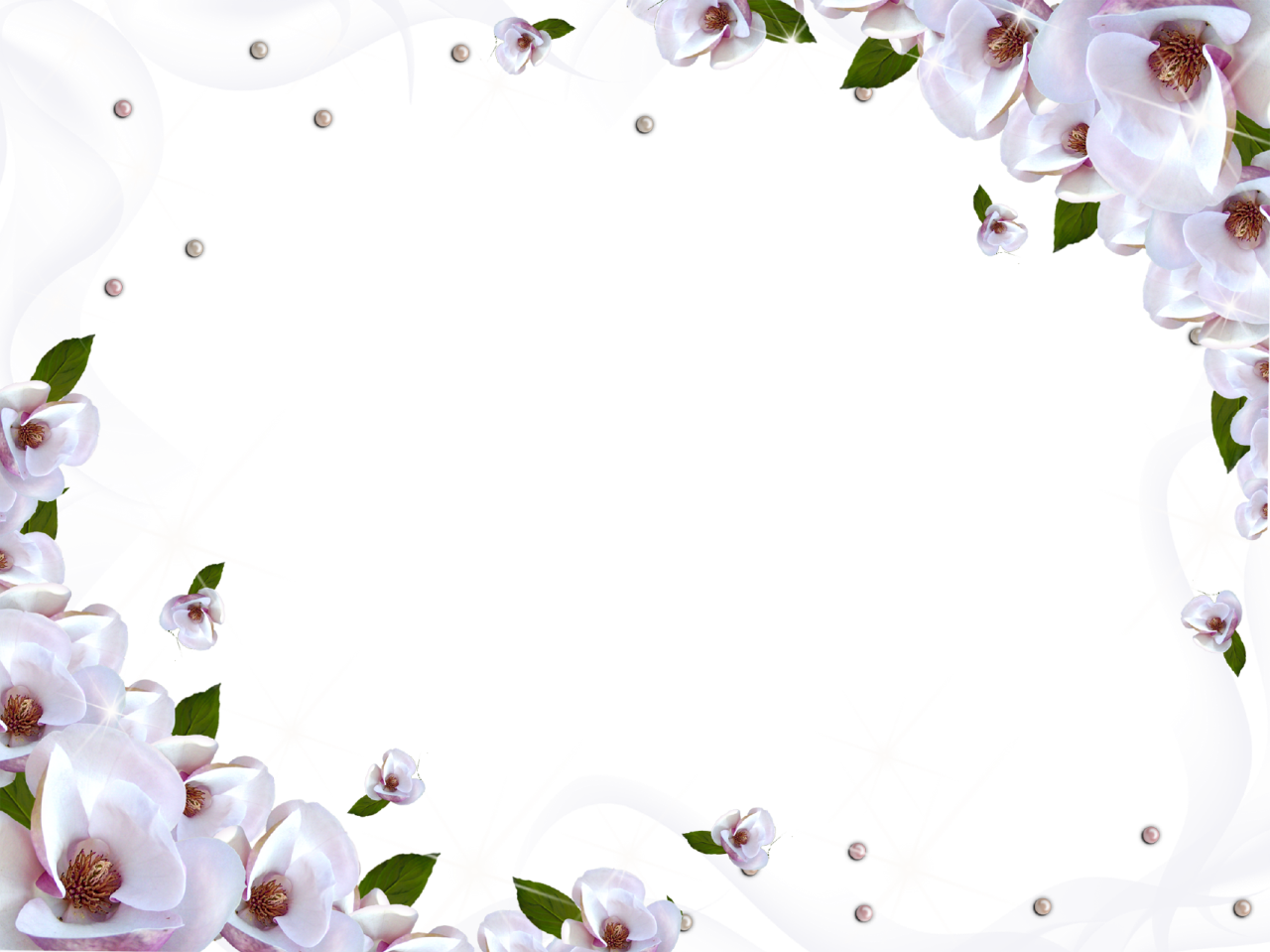 Wallpaper Flower Games Tulip Rose PNG