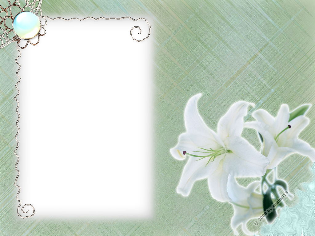 Flower Paper White Posy Button PNG