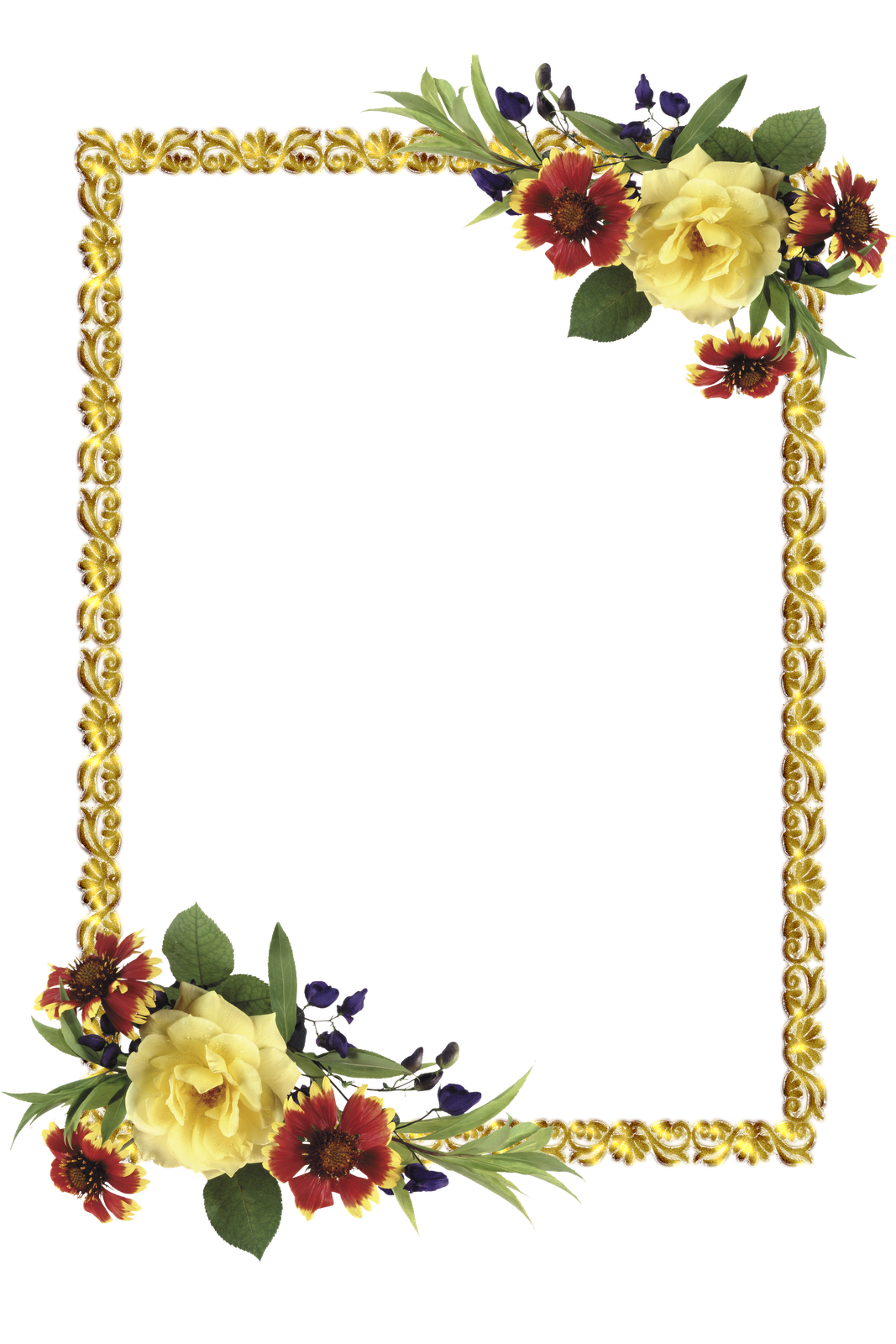 Flower Frame Paper Frames Flora PNG