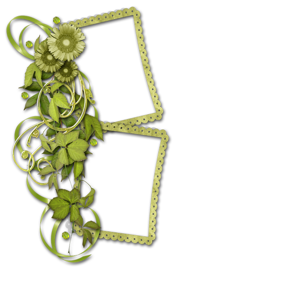 Green Drawing Blossom Frame Floral PNG