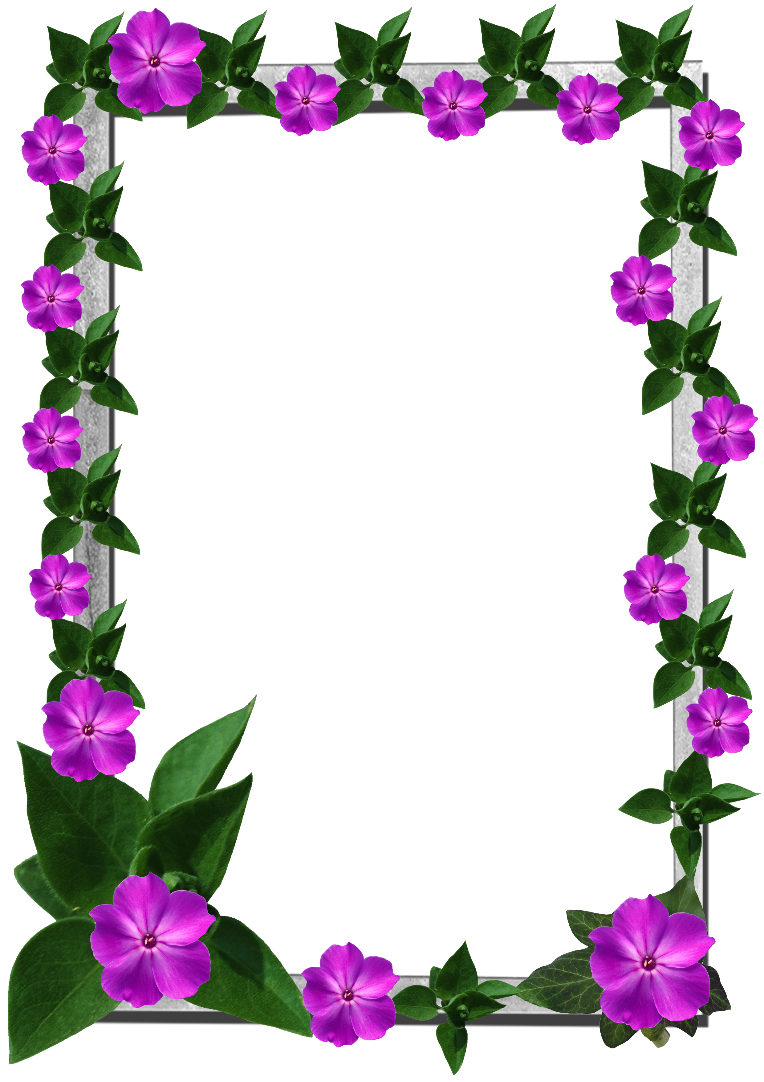 Flower Flora Frames Animation Elite PNG