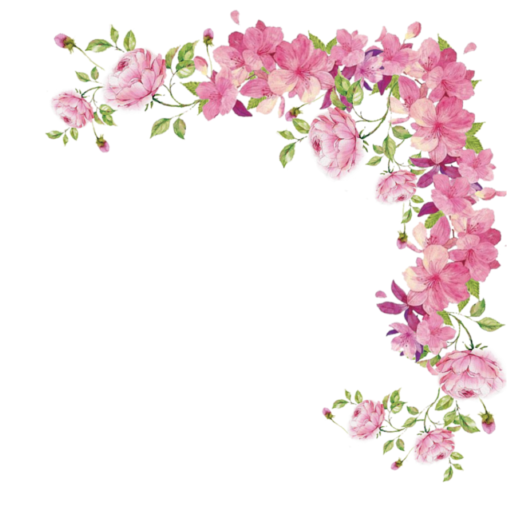 Border Spring Flower Painting Plant PNG