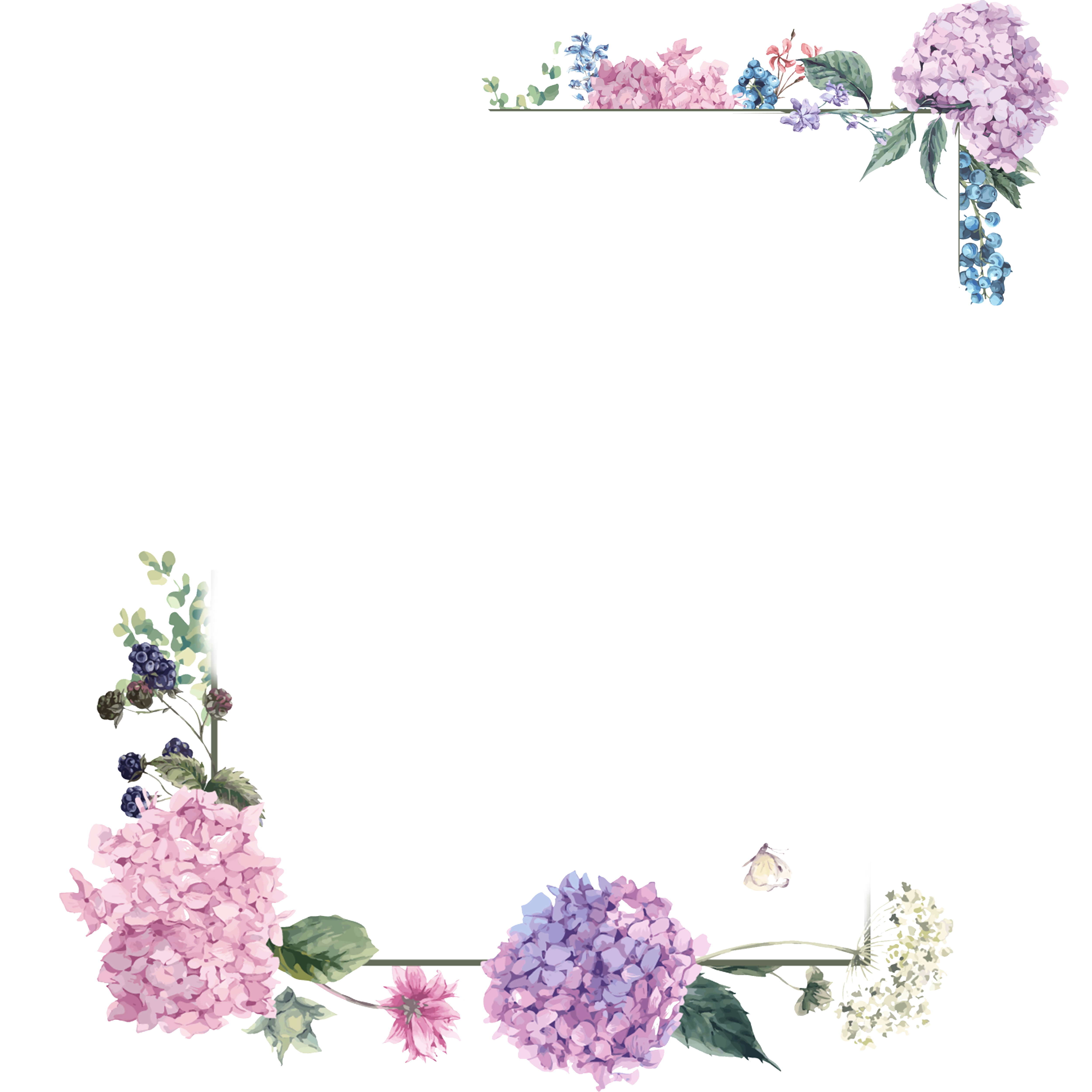 Borders Blossom Pink Floral Design PNG