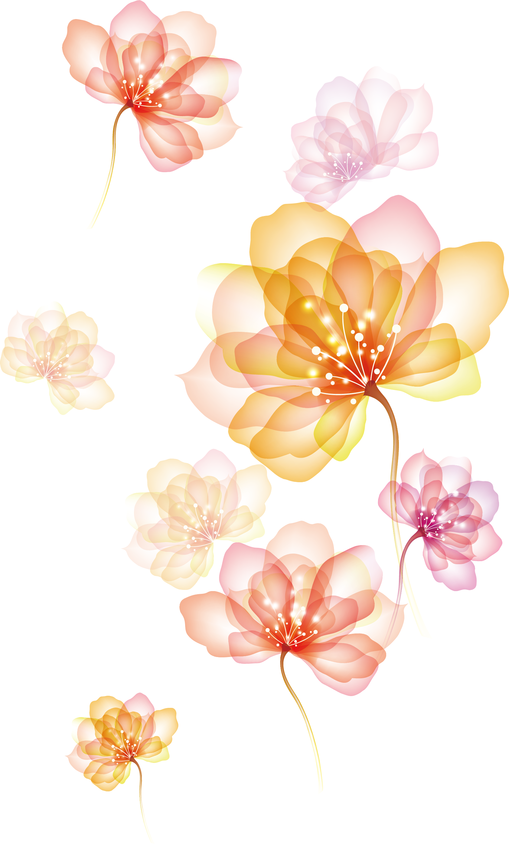 Marigold Lilies Pink Design Dahlia PNG