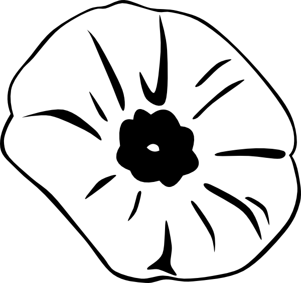 Petal Monochrome Day Poppy Orchid PNG