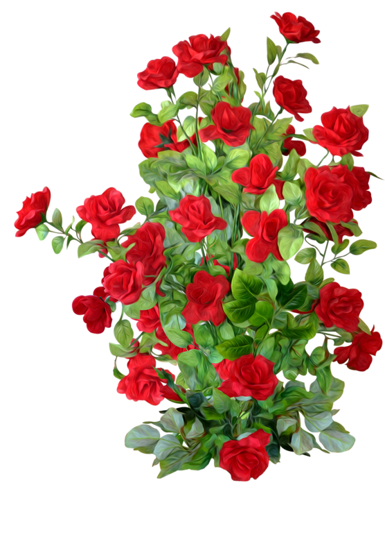 Roses Garden Quality Petal Wreath PNG