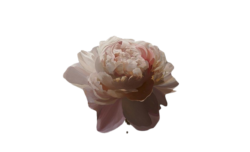 Flower Art Daffodil Peony Floral PNG