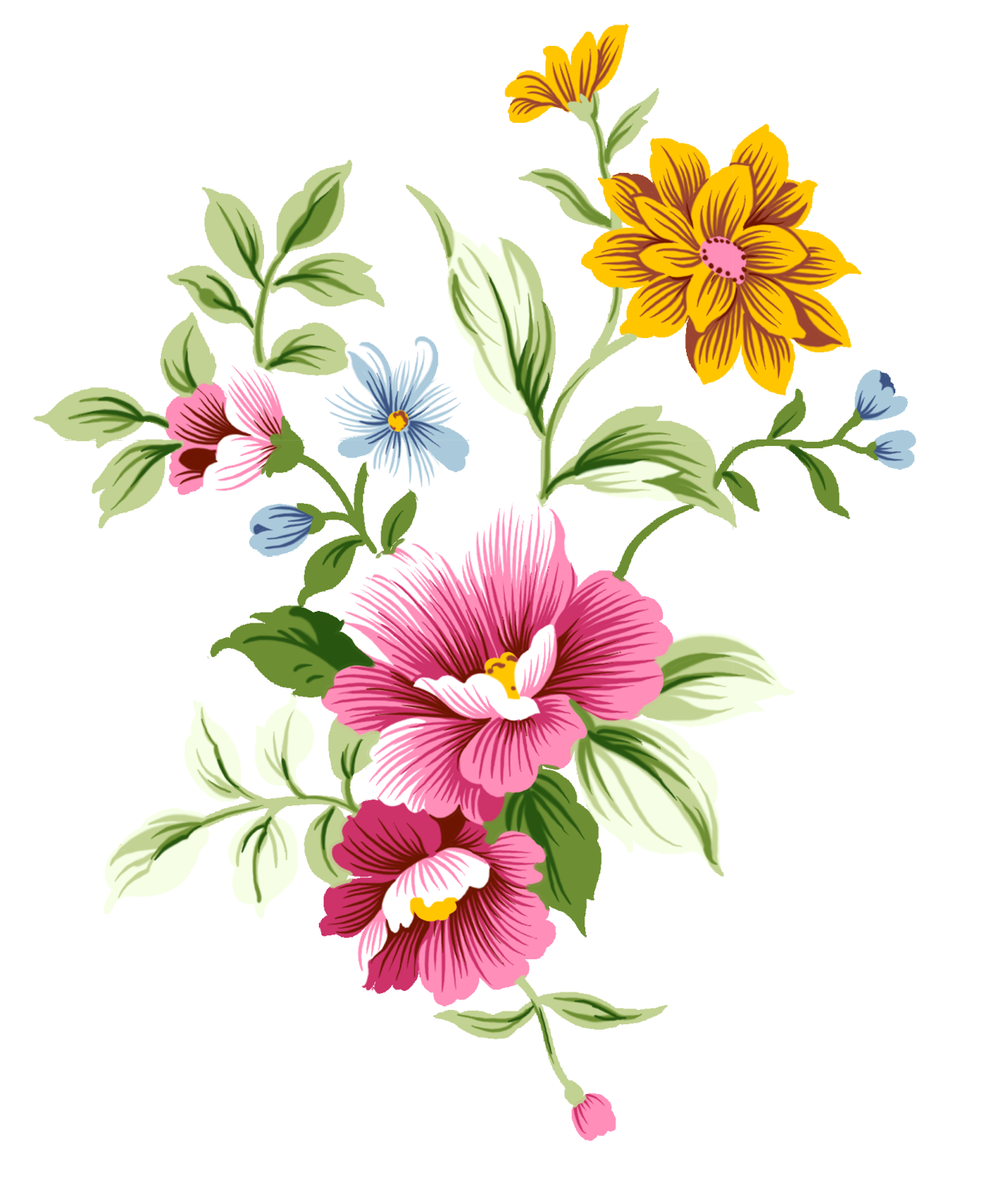 File Flowers Efflorescence Annuals Posies PNG