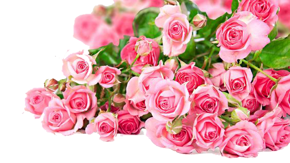 Amazing Pink Animal Summer Bouquet PNG
