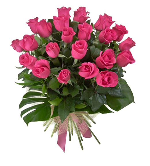 Roses Animals Flowers Bloom Pink PNG