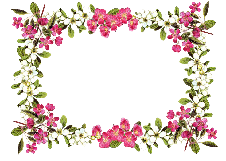 Flowers Lilies Florets World Abut PNG