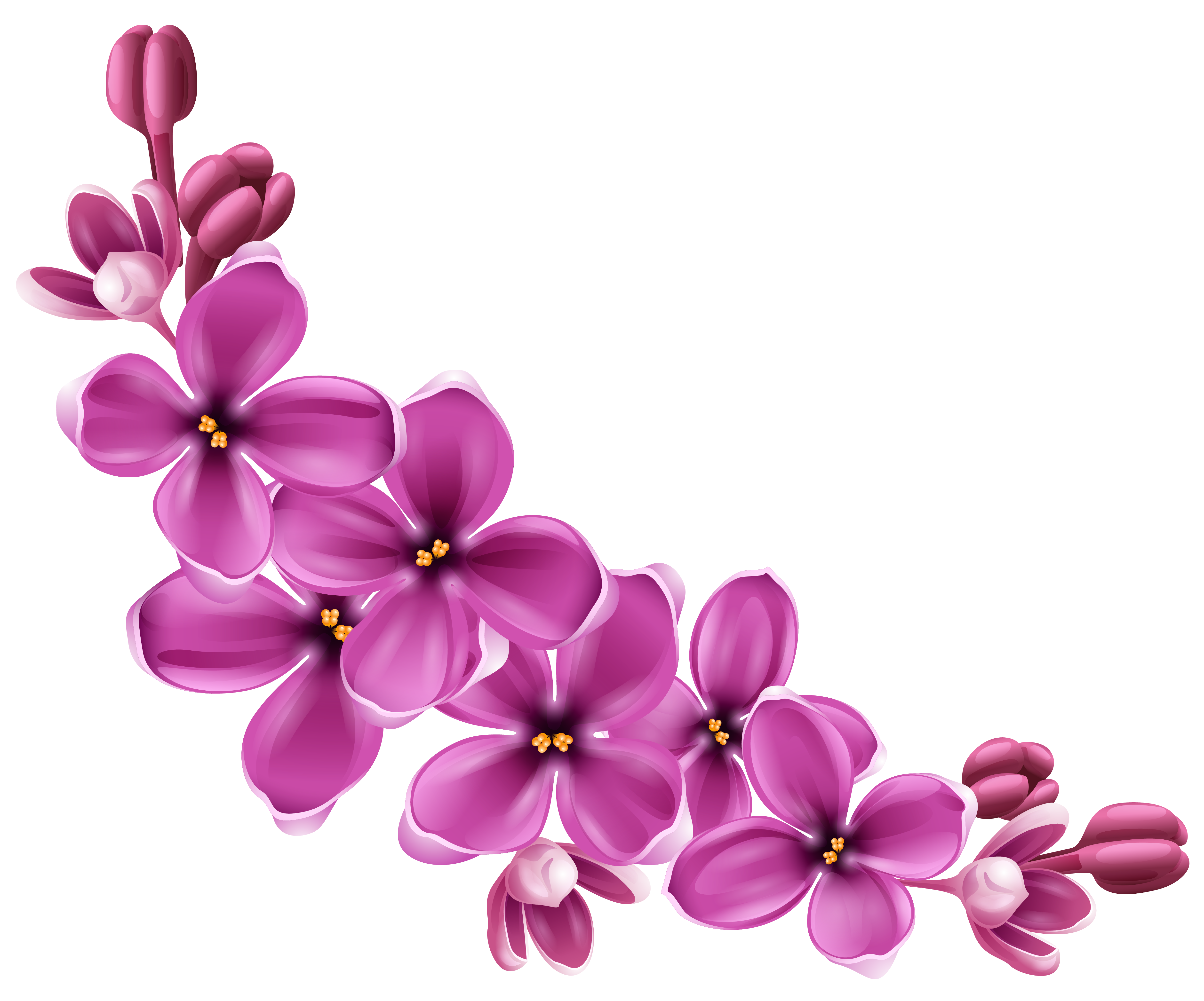 Environment Tree Flowers Marry Perfumes PNG