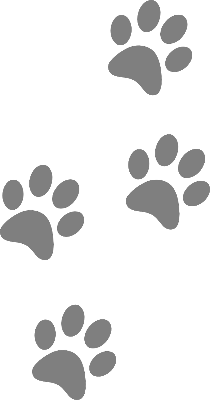 Spoor Space Animal Footprint Tracer PNG