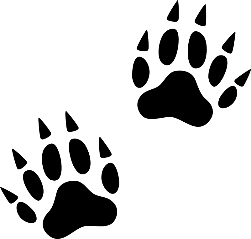 Scars Scent Step Speckles Animal PNG