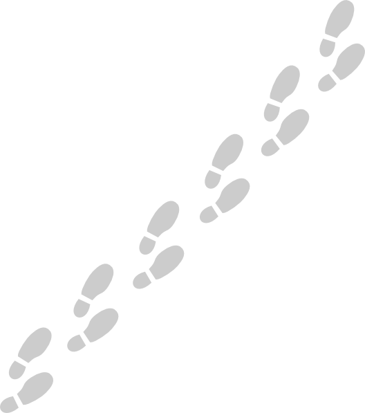 Fossils Mounds Footprints Indentations Footstep PNG