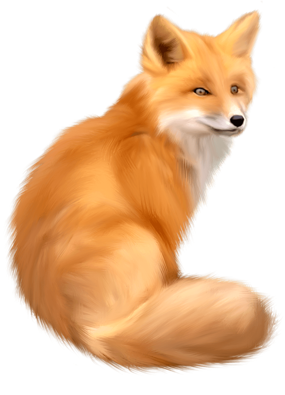 Confound Family Dodger Rabbit Fox PNG